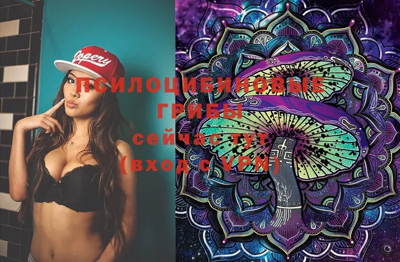 Псилоцибиновые грибы Cubensis  купить наркотики сайты  omg сайт  Новошахтинск 